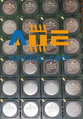CN5020 INGEBEDDE BEWERKER van geïntegreerde schakelingen van IC Cavium de Netwerken